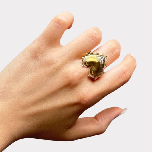 Anello Holy