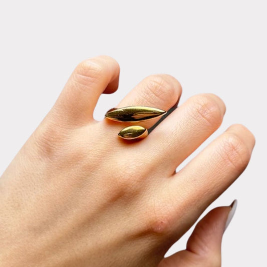 Anello Symbiosis