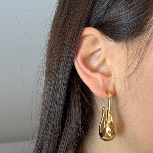 Orecchini Hook