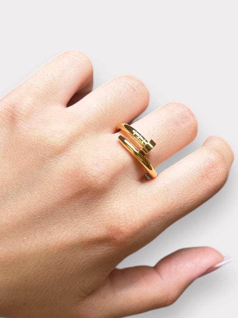 Anello Chiodo